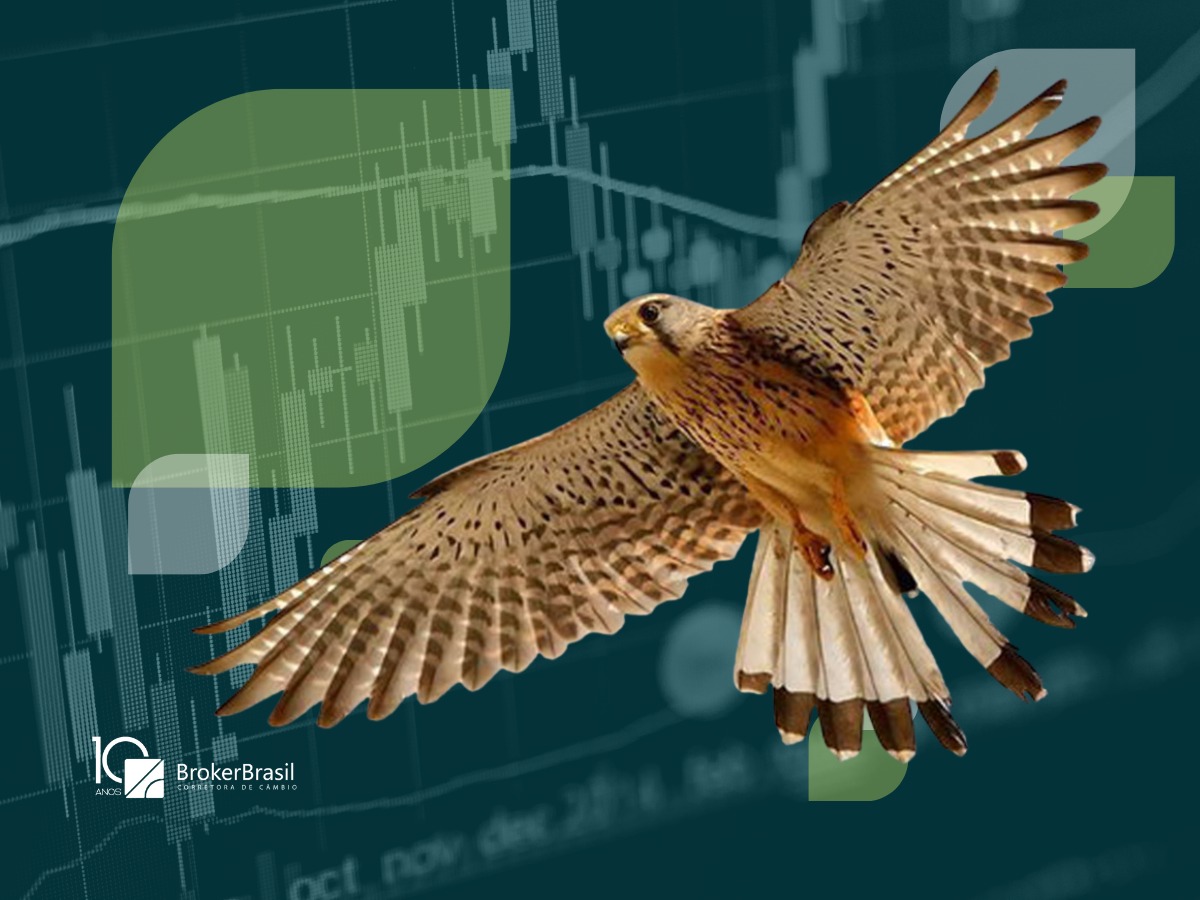 SINAIS HAWK PARA JURO E QUEDA DE COMMODITY PESAM NA SESSÃO, MAS BOLSA SOBE 6% NO MÊS